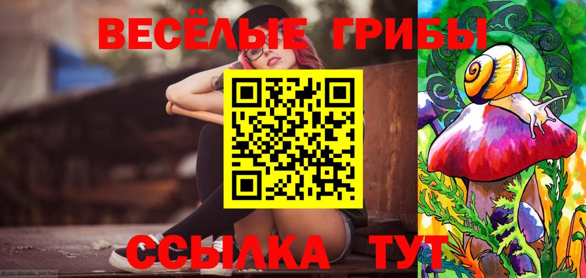 Псилоцибиновые грибы Cubensis  Вход с VPN  Тольятти  Галлюциногенные грибы мицелий 