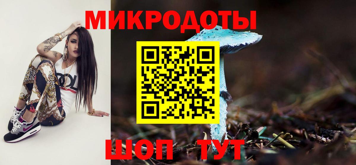 Псилоцибиновые грибы мицелий Тольятти